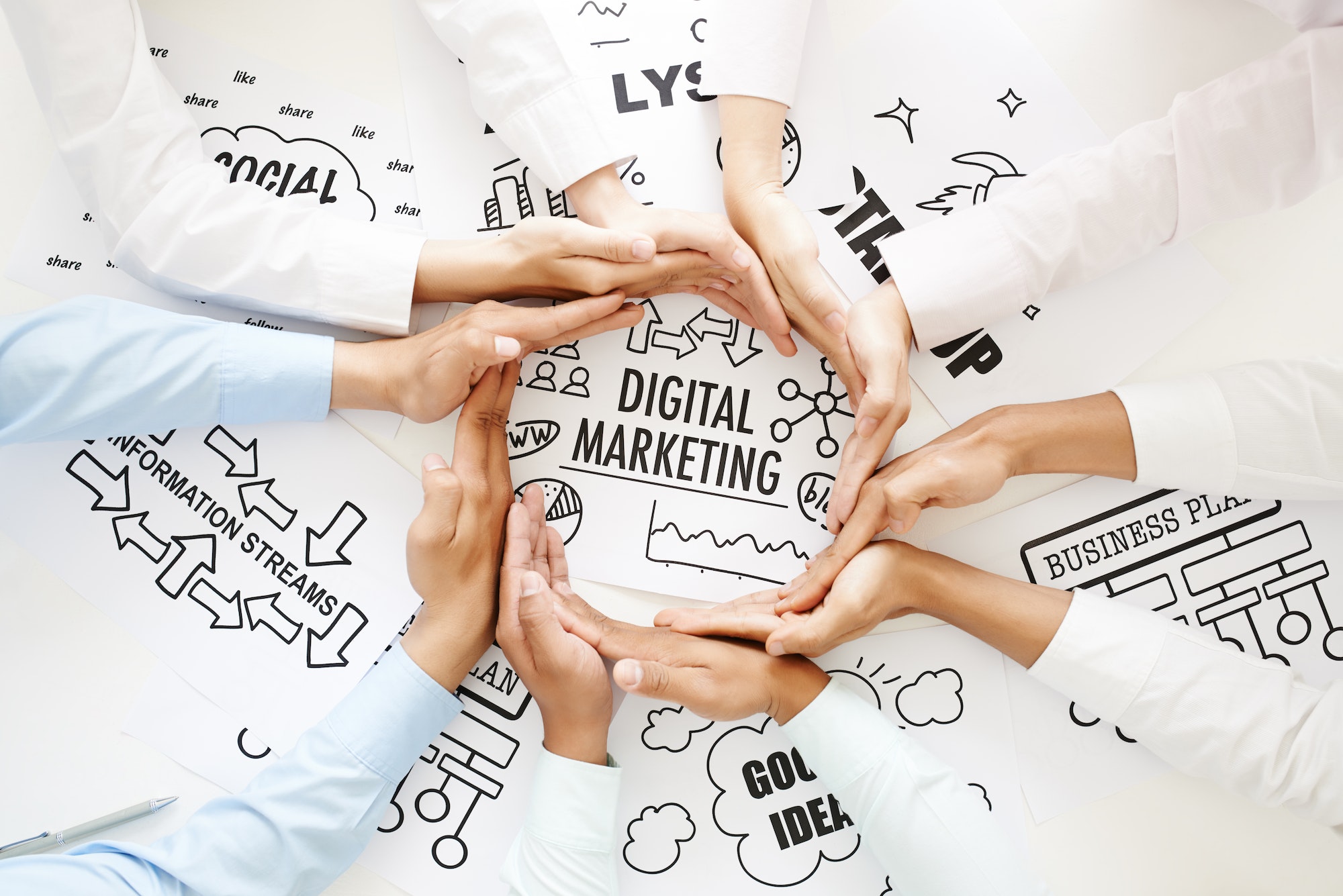 Pocus Locus Digital marketing